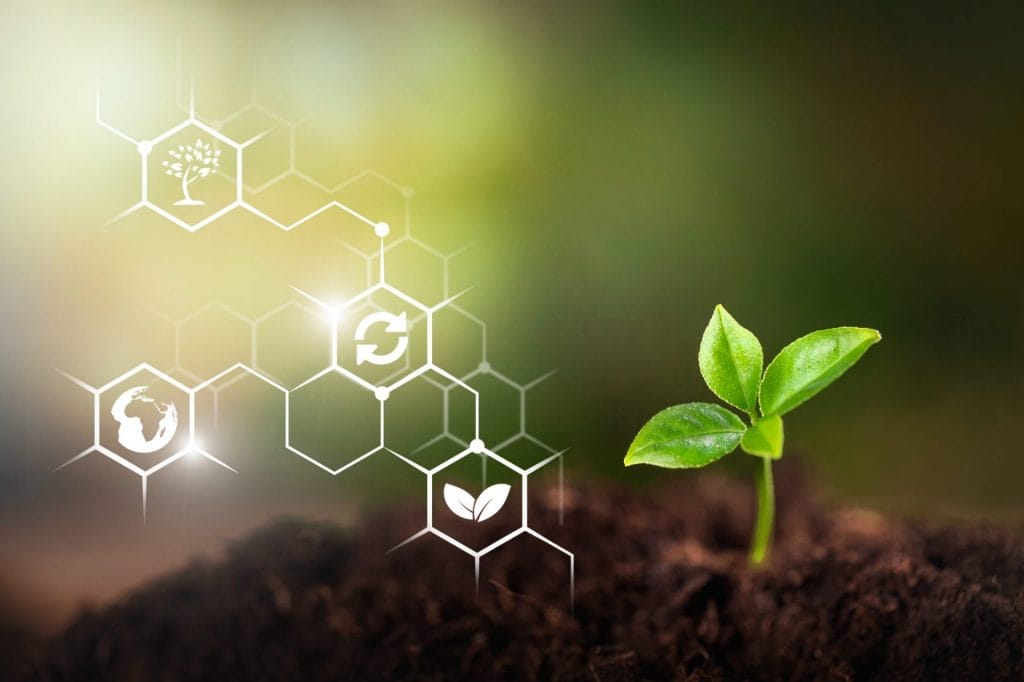 Sustainability Becoming a Focus for Properties and Partners